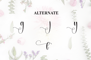 Variety Script Font