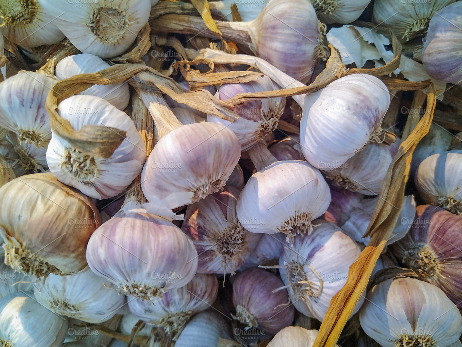 Close up of garlic bulbs in rustic light, a Business Photo by DanFLCreativo