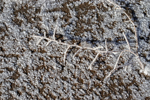 Salt-Crystals-Natural-Texture, a Person Photo by Schreibikus
