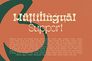 Fontanio, a Serif Font by Ardyanatypes (Thumbnail 9 of 12)