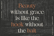 Dalbine – Elegant Font, a Serif Font by Craft Supply Co. (Thumbnail 3 of 8)