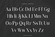 Mariglen - Modern Serif Font, a Font by Flawless And Co (Thumbnail 9 of 10)