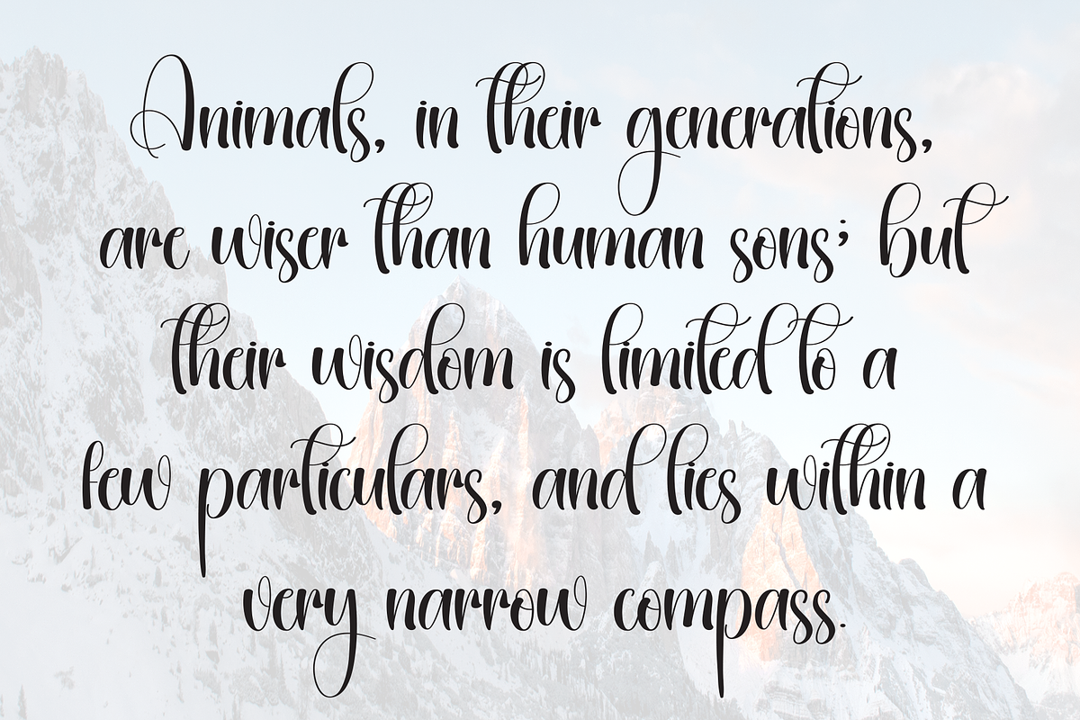 Design | Script Font, a Handwritten Font by Scratchones (Photo 6 of 9)
