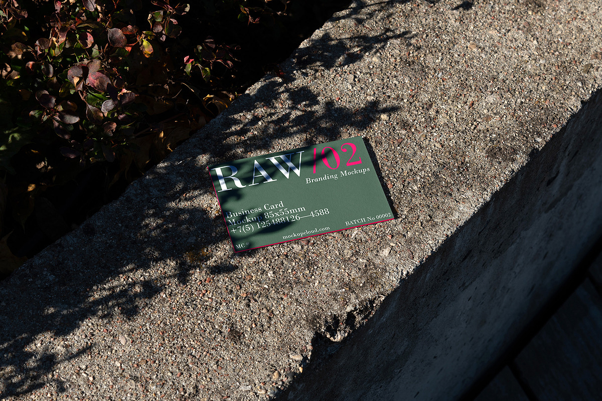 Raw Branding Mockups / Batch 00002, an Advertising Mockup by Mockup Cloud (Photo 24 of 29)