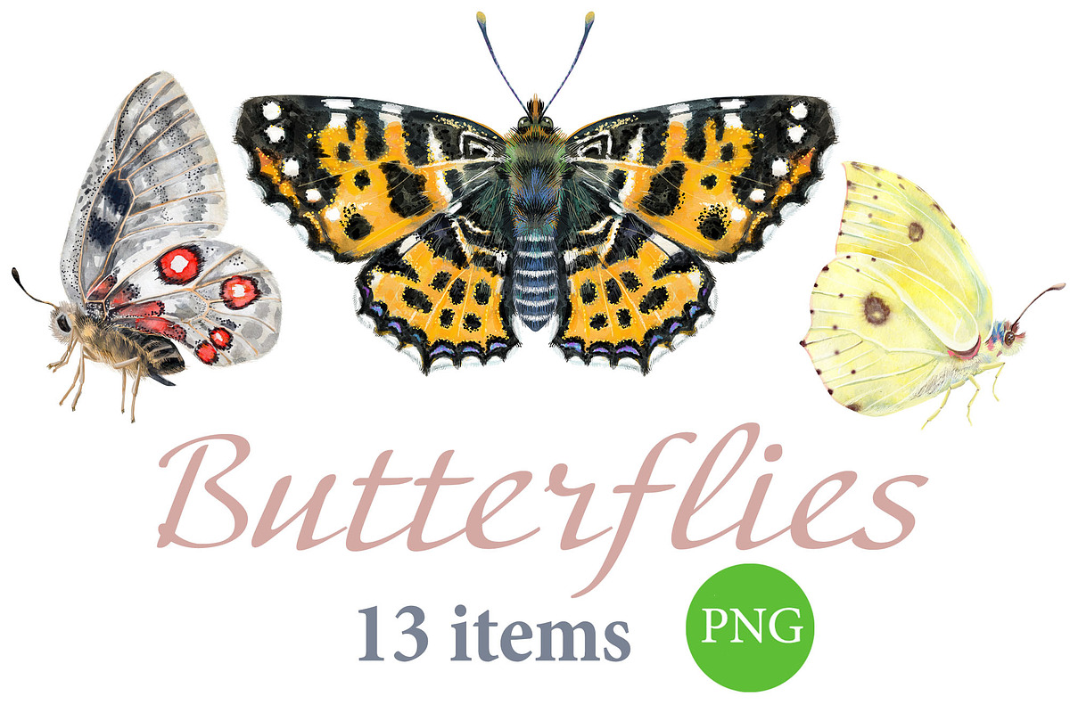 Watercolor butterflies 2, an Animal Illustration by Watercolor fantasy (Photo 1 of 5)