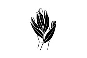 Hand Plant Growth Bundle, an Illustration by yasushie (Thumbnail 27 of 31)
