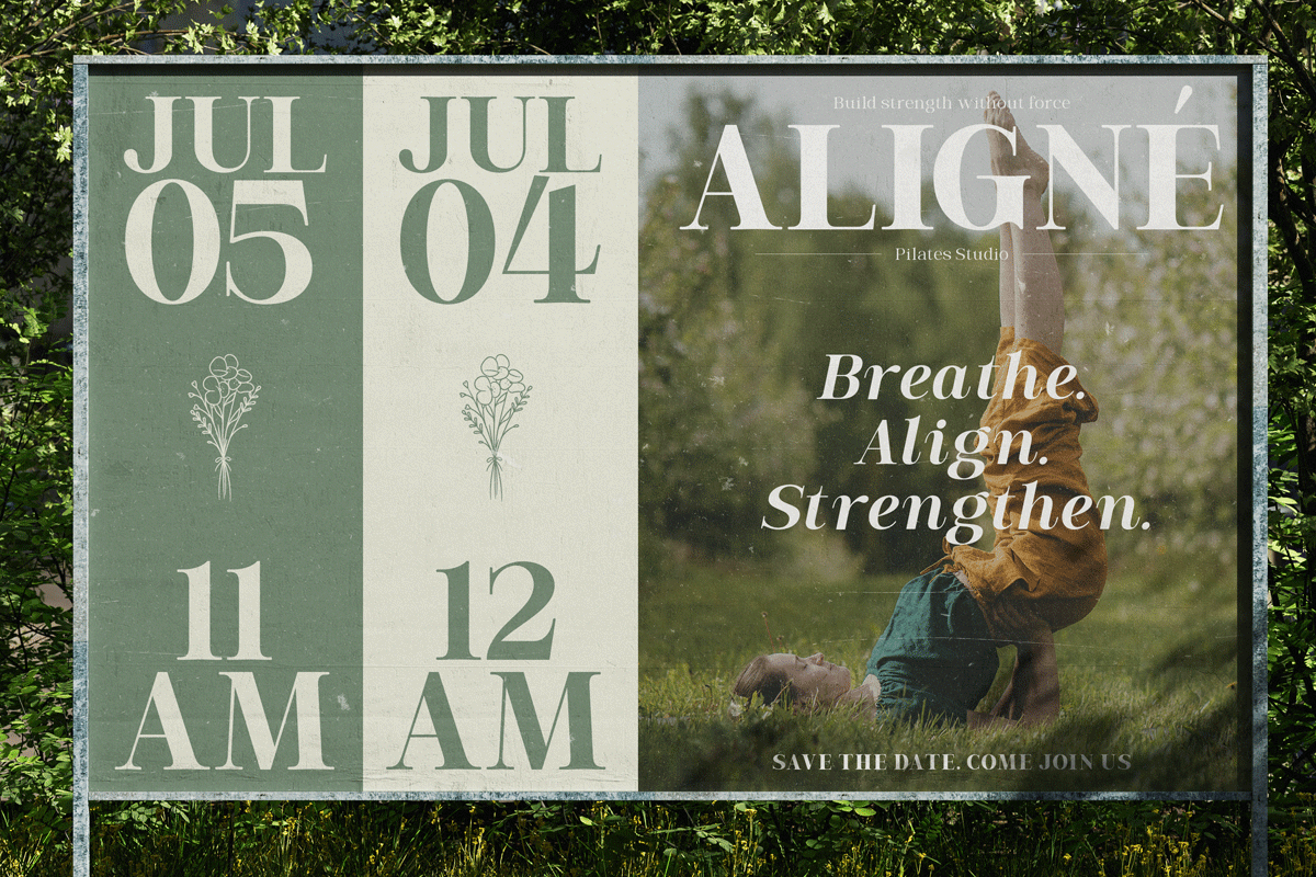 Elegant Serif for Luxury – Veluxa, a Serif Font by roomspace creative lab (Photo 6 of 15)