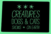 TOMO Mindwalk, a Sans Serif Font by TOMO Fonts (Thumbnail 3 of 9)