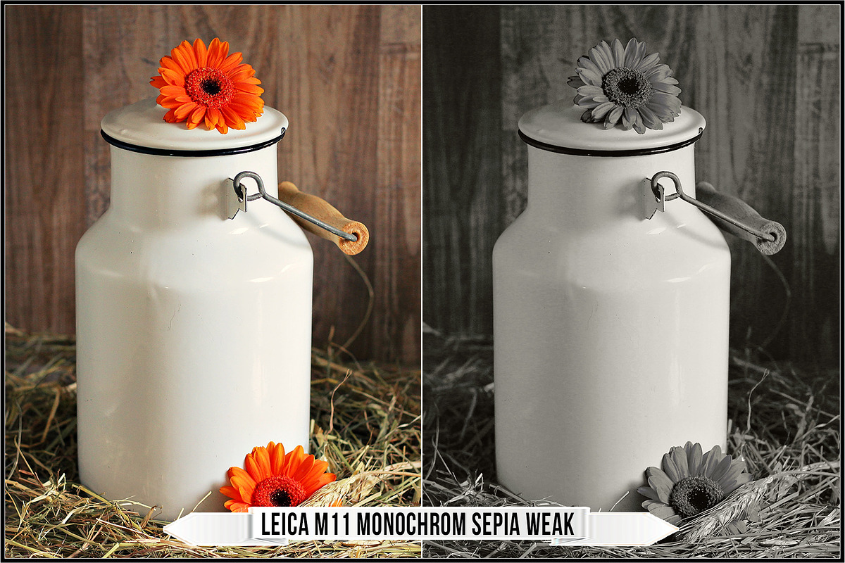Leica Monochrom Profiles, a Plug-in Add-On by Raztrend (Photo 24 of 31)