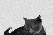 Procreate Inkwell Duo, a Brush Add-On by Brush Moment (Thumbnail 6 of 12)