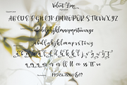 Velvet Line, a Script Font by Larin Type Co. (Thumbnail 7 of 7)