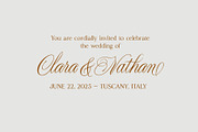 Night Train Script — Elegant Font, a Script Font by vatesdesign (Thumbnail 2 of 10)
