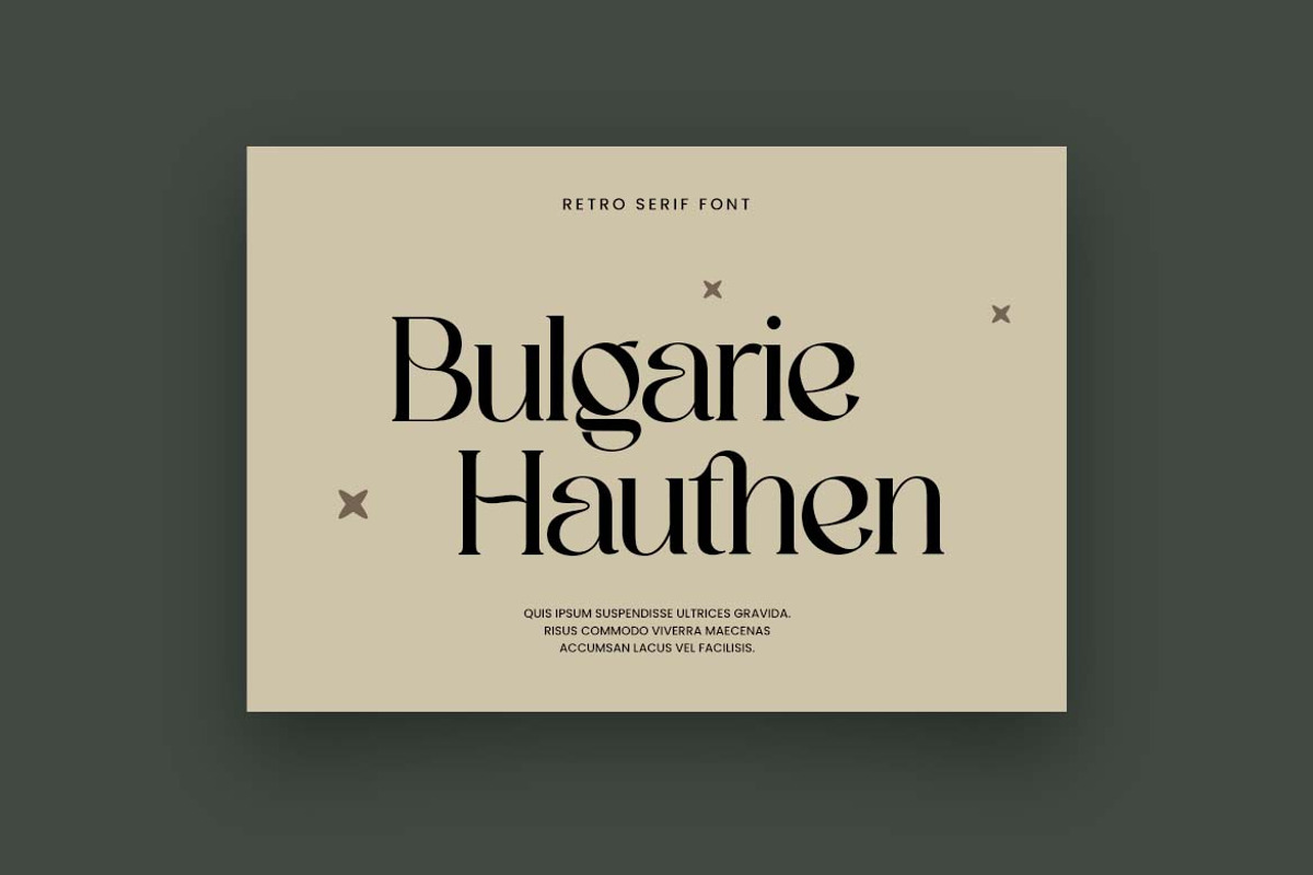 Dominance Elegant Serif Display Font, a Serif Font by UICreative (Photo 5 of 13)