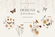 Wildflowers watercolor floral botany, a Decorative Illustration by Grace Noboa Illustrations (Thumbnail 10 of 17)