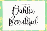 Dahlia Beautiful, a Handwritten Font by FreshTypeINK (Thumbnail 1 of 8)