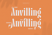 Pany Anemov | Modern Display Serif, a Font by Denustudios (Thumbnail 5 of 15)