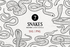 Snake Reptile Vector Line Art Set