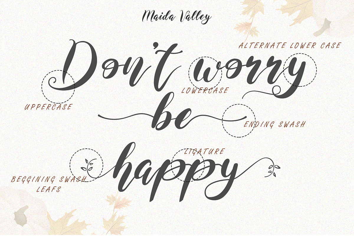 Maida Valley - Handwritten Font, a Script Font by erlosDESIGN (Photo 12 of 14)