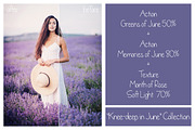 Summer Collection - PS Bundle, an Action Add-On by LovePhotoMoment (Thumbnail 8 of 23)
