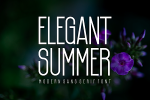 Elegant Summer - Font, a Sans Serif Font by artchiles_design