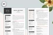 Professional CV Resume Template, a Resume Template by GResume (Thumbnail 3 of 7)