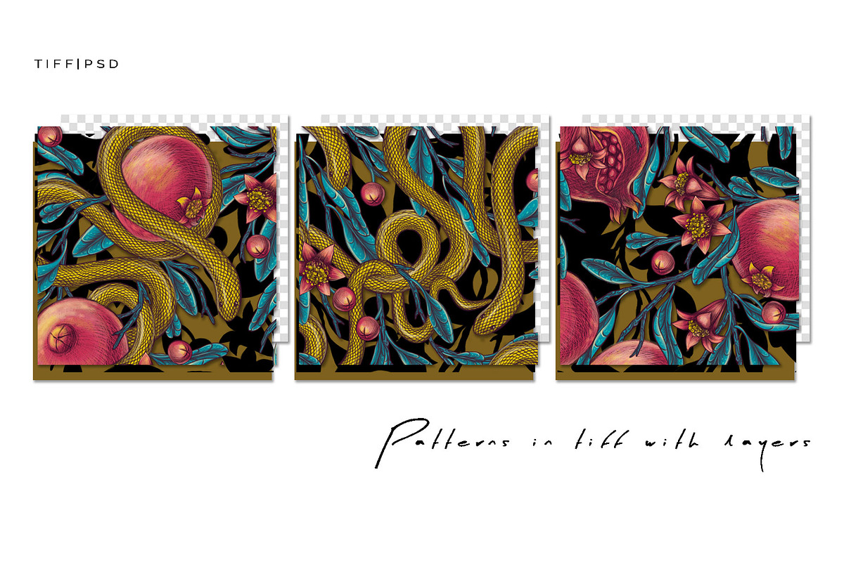 POMEGRANATE EDEN - patterns & motifs, a Decorative Illustration by Liiafis (Photo 3 of 15)