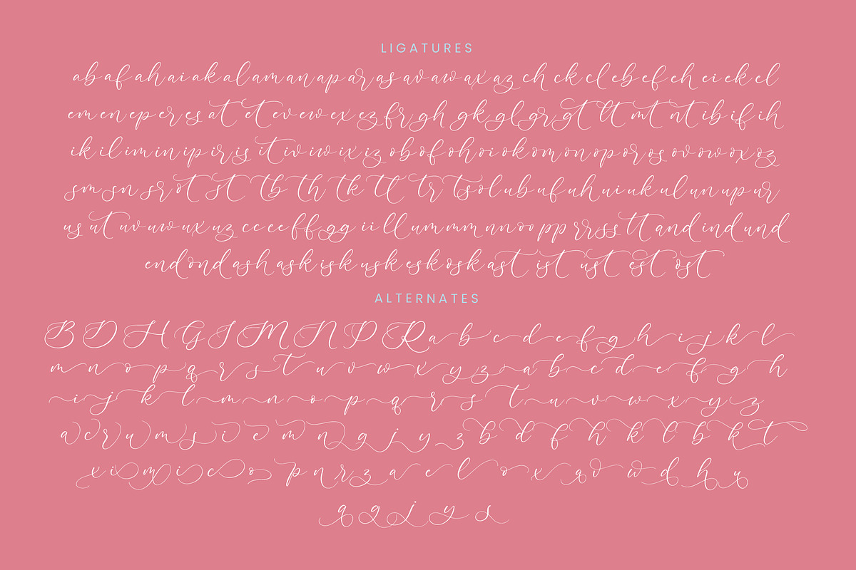 Pertysh Tulipita Stylish Calligraphy, a Script Font by stylishtype.co (Photo 19 of 20)
