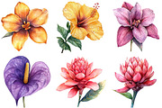 Tropical Watercolor Flower Bundle, an Illustration by Pixels.Craft (Thumbnail 3 of 8)