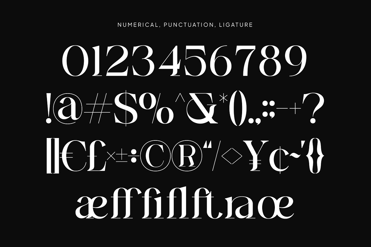 Ginka Voraxe – Modern Stylish Serif, a Serif Font by Mahesans Co (Photo 10 of 11)
