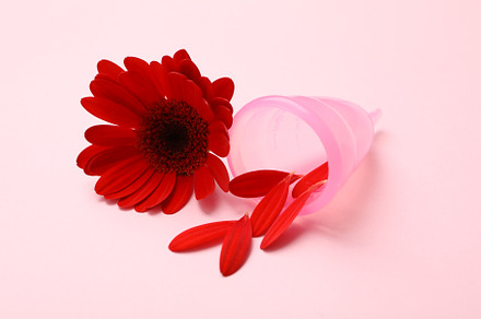 Menstrual cup and gerbera on pink background, close up, a Health & Medical Photo by AtlasStudio