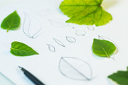 Vector Leaf Alphabet [Vector], an Object Graphic by Chuhastock (Thumbnail 3 of 12)