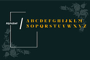 Glenca | Modern Serif font, a Serif Font by Muntab_Art (Thumbnail 5 of 6)