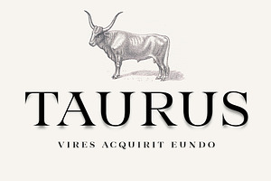 Taurus -high class serif, a Serif Font by Fenotype