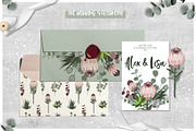 Protea - botanical garden collection, an Illustration by lokko studio (Thumbnail 2 of 7)