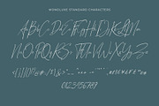 Monoluxe - Signature Font, a Script Font by Almeera Std (Thumbnail 5 of 10)