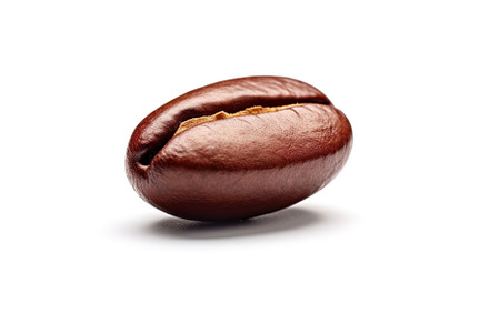 One roasted coffee bean isolated on white background, a Food & Drink Photo by AlyaAnd
