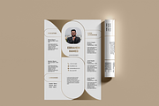 100 Resume - luxury templates, a Resume Template by Hamed Studio (Thumbnail 5 of 15)