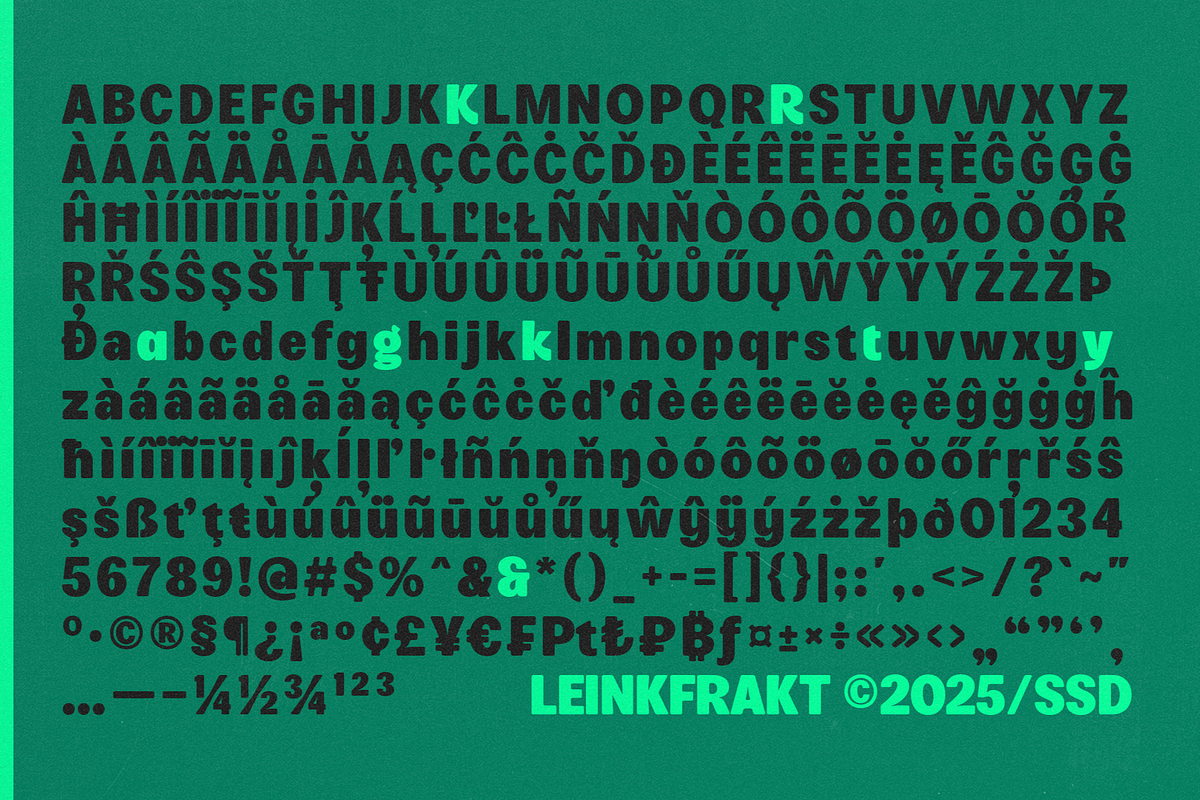 Leinfrakt - Heavy Display Sans, a Sans Serif Font by Shapespired Design (Photo 16 of 16)