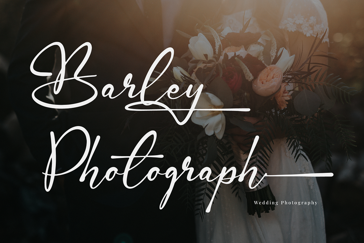 Gamlowfei | Elegant Signature, a Script Font by Denustudios (Photo 3 of 12)