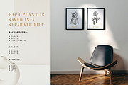 Herbs, spices, nuts & fruits. Bundle, a Food Illustration by Chewie Co (Thumbnail 13 of 15)
