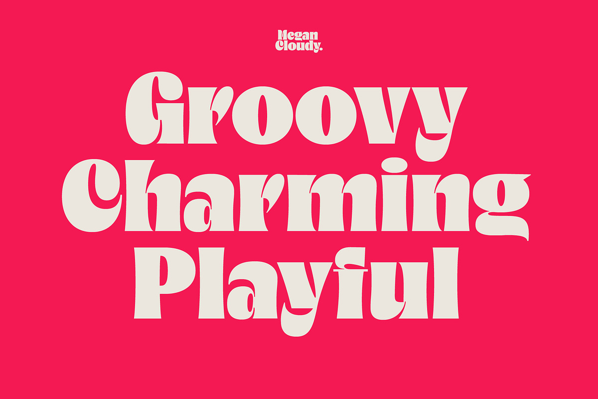 Megan Cloudy - Charming Serif, a Serif Font by Variatype (Photo 5 of 10)