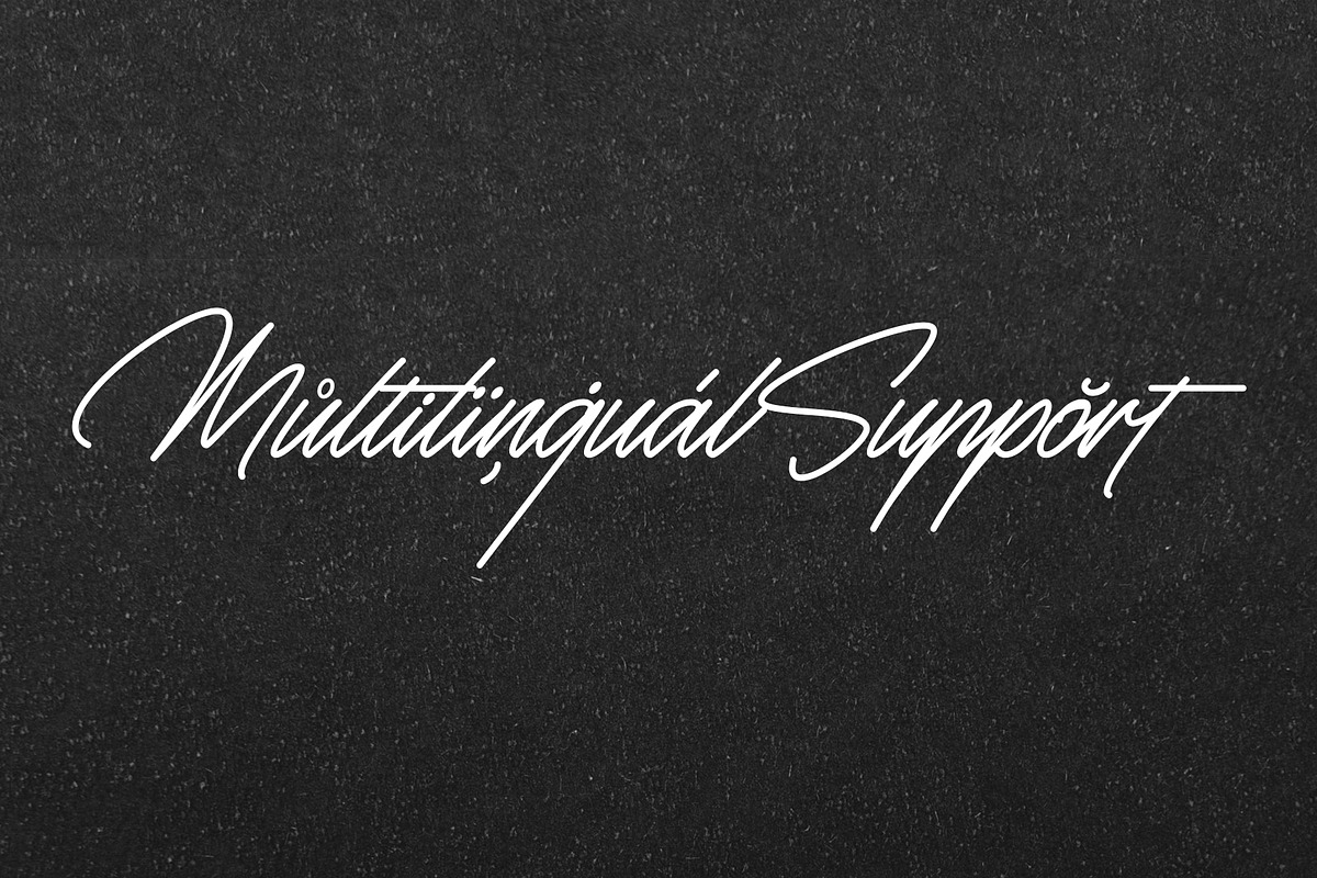 Monosign | Signature Typeface, a Script Font by Lemonthe (Photo 9 of 10)