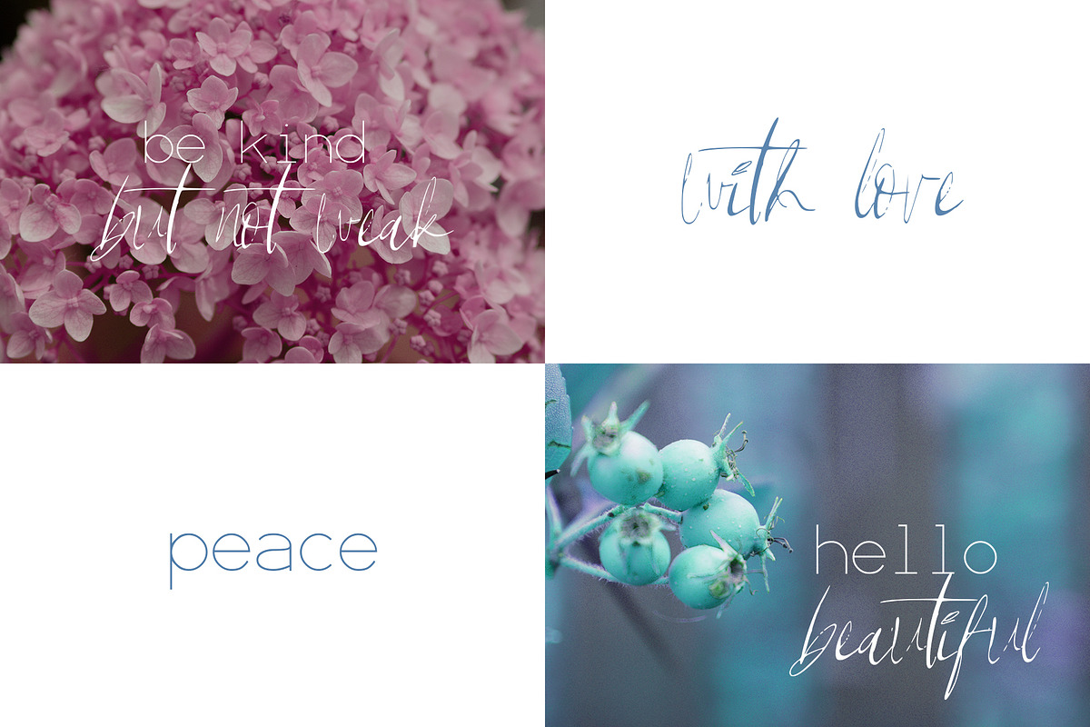 Grazia Font preview 6