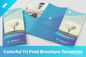 Creative Tri Fold Brochure Template