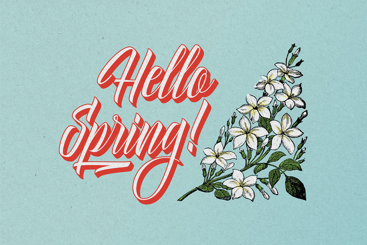 Delphin Spring - Vintage Script preview 4