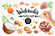 Nuts Watercolor Collection, an Object Graphic by Sonya Illustrations (Thumbnail 1 of 4)