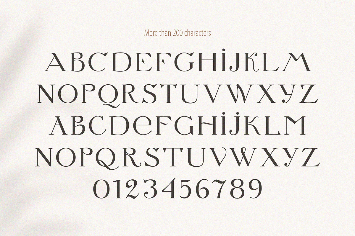Letterature ligature serif font, a Serif Font by kaer_shop (Photo 9 of 12)