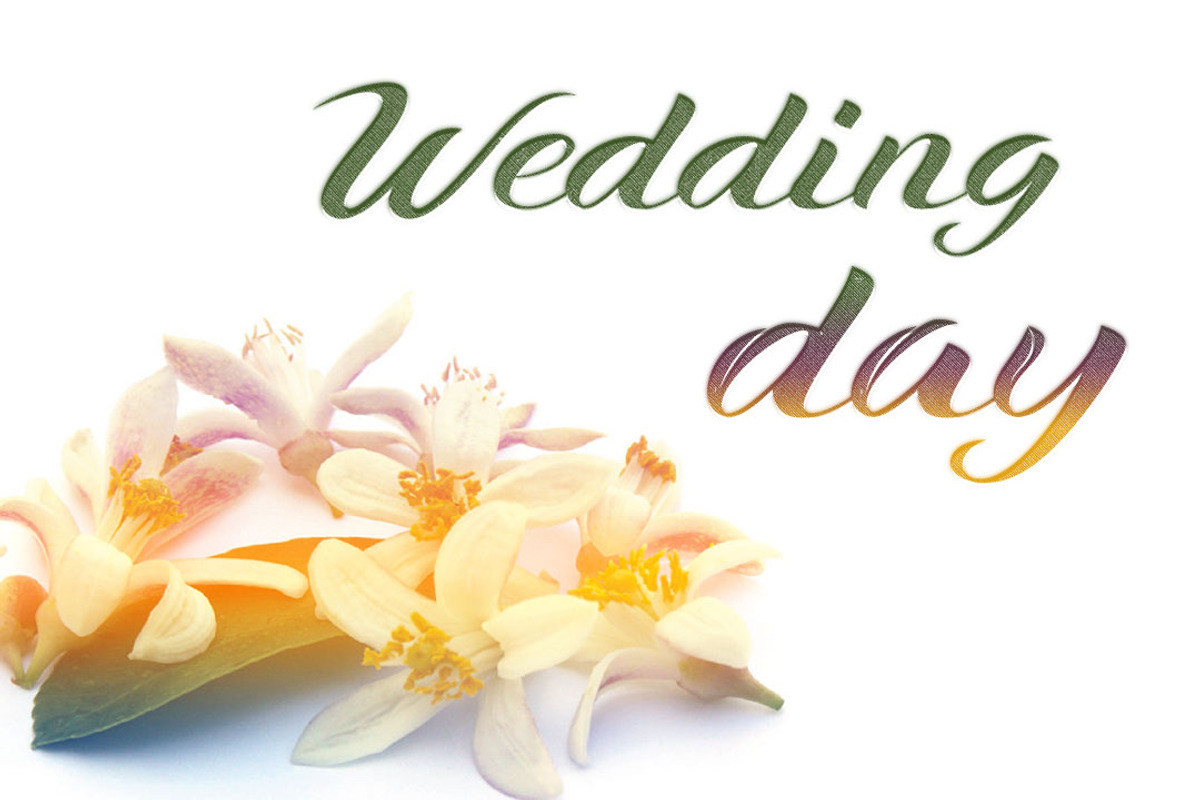 Xandra Script Font Family preview 4