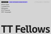 TT Fellows, a Sans Serif Font by TypeType (Thumbnail 1 of 15)
