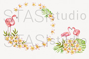 Pink Flamingo Watercolor Clipart, a Decorative Illustration by STASIstudio (Thumbnail 3 of 3)
